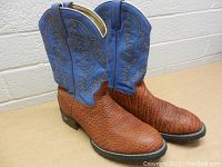 Pair of men's Tony Lama western boots showing brown textured leather foot and blue stitched leather shaft.