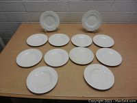 Overview of 12 Wedgwood Patrician plates displayed on a table, 10 laid flat and 2 on stands.
