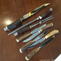 Full view of the entire horn handled carving set including carving knife, carving fork, and five steak knives