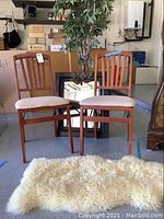 Photo showing two wooden dining chairs with beige upholstered seats, artificial tree behind, and cream sheepskin rug on floor.