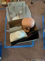 Jewelry storage and display items including mannequin head, necklace form, black and white display stands, and small storage containers in a box on carpet.