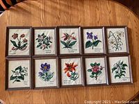 Ten framed needlepoint provincial flowers displayed on wooden table, showing full collection.
