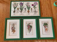 Four framed cross stitch artworks arranged on floor showing bulb flowers (large piece) and three smaller pieces of garlic, grapes, and root vegetables with green frames.