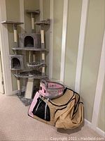 Full view of three-level gray cat tree with multiple platforms and scratching posts, next to beige foldable cat tent condo and clear pink-trimmed cat backpack stacked on top.