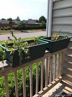 Front view of two green plastic deck rail planters attached to a white wooden deck railing. Soil and dried plants visible inside each planter.