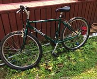 Left side view of green Trek 820 mountain bicycle showing flat front tire and torn seat