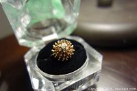 Ring displayed in clear acrylic case on black velvet