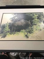 Framed Young Cow Moose art by W.D. Berry showing moose in forest setting with artist signature and date.