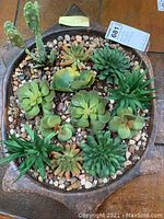 Top view of a ceramic terrarium planter with various succulents planted in soil with small decorative pebbles.