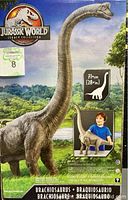 Image of the Brachiosaurus dinosaur figure box front with height measurement and toy picture showing size comparison with a child.