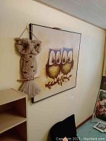 Overall view of framed art and macrame owl hanging side by side on wall