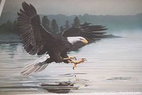 Close-up of the eagle print showing detailed eagle in flight over water with forest and mountains in background.