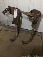 Pair of older steel tree climbing spurs displayed upright on a concrete floor against a door. Shows leather harnesses attached to each and extensive surface rust on metal parts.