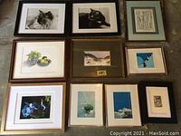 Photo showing all 10 framed art pieces arranged on floor, including cat photos, botanical prints, landscape, and abstract artworks.