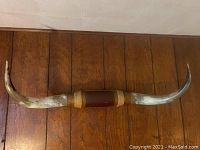 Single photo showing a pair of large curved steer horns mounted on a wooden plaque with braided rope accents.