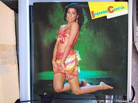 Vinyl LP album cover front featuring Irene Cara posing in a colorful costume with 'Irene Cara' and 'What a Feeling' text.