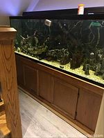 Full-length view of glass aquarium mounted on wooden cabinet