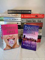 Pile of 20 Danielle Steel hardcover novels displayed upright and stacked, two books face forward showing cover titles "Big Girl" and "A Perfect Life".