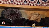 Six Russian winter hats displayed in two rows on a wooden shelf, some with Soviet insignia.