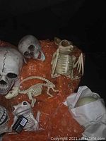 Photo showing a variety of bone-colored skulls and skeletal Halloween figurines including a bat-winged creature and a seated frog figure with tag, arranged on orange fabric.
