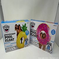 Both boxed pool floats side by side: giant pineapple and giant doughnut floats from BigMouth Inc.