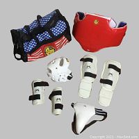 Full view of Tae Kwon Do gear set laid out on grey background including chest protector, headgear, forearm guards, shin guards, groin cup, and bag
