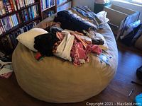 Full view of the oversized beige/tan microfiber bean bag with some clothes and items piled on top, next to a bookshelf and window.