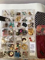 Overall view of all costume jewelry items in clear compartment organizer, showing a wide variety of earrings, pins, and pendants including faux turquoise pieces and clip-on earrings.
