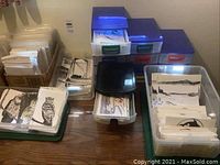 Multiple stacks of black and white art cards with various nature scenes including owls and herons, organized in several translucent plastic storage containers with colored lids, and a cardboard box with loose cards.