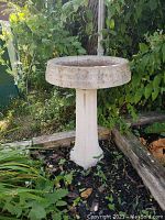 Front view of the cement bird bath standing in garden soil surrounded by plants and wood border.