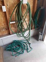 Wall with large, coiled green garden hoses and a smaller hose on the floor