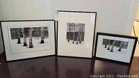Three framed black and white prints showing birch trees in snow displayed on the floor.