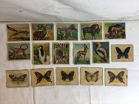 Photo of 16 antique Harry Horne Custard & Jelly Powder animal trading collectible cards laid out on a white cloth. Cards show animals and butterflies in colorful illustrations with some wear.