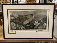 Framed limited edition print of a woodcock bird among foliage, titled 'Morning Breakfast Woodcock'.