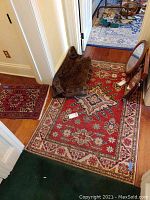 Hallway floor showing medium 3'x4.5" rug adjacent to small 2'7"x1'8" rug on hardwood