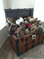 Open trunk with lid raised revealing numerous plush teddy bears