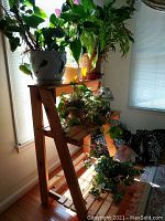 Full view of wooden three-tier plant stand with plants and decor