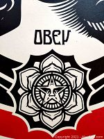 Detail of OBEY logo and floral motif at bottom center