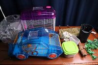 Overview photo of the entire lot showing all cages, containers, and decorations on a wooden table, highlighting the condition and variety of items.