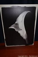 Front view of a canvas art piece showing a black background with a white and gray calla lily flower and an off-white painted border