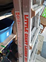 Close-up side view of the aluminum ladder with Little Giant Ladder System branding and safety instructions visible on the side rail.