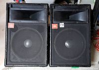 Front view of both wedge speakers showing grille, woofer and horn