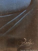 Close-up of white signature on black velvet