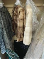 Photo showing side view of two fur jackets hanging, one lighter color and one darker color alongside other coats.