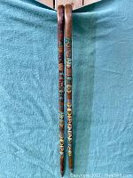 Full view of two wooden climber's canes with metal badges attached along the shafts, standing against a blue cloth backdrop.