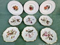 Nine porcelain plates arranged in three rows on a green cloth - top row 3 larger round plates with fruit design, middle and bottom rows 6 smaller plates with bird designs