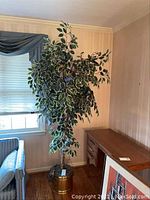 Full view of the 80 inch tall artificial plant with metal planter in corner of room.
