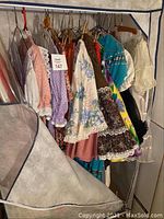 Photo showing several colorful vintage square dancing dresses and skirts inside a hanging fabric wardrobe