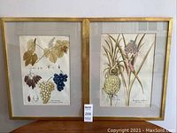 Pair of framed botanical prints side by side on a table against wall