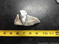 Top angle view of bronze seal sculpture mounted on white stone base, showing measuring tape for size reference approximately 6 to 9 inches.